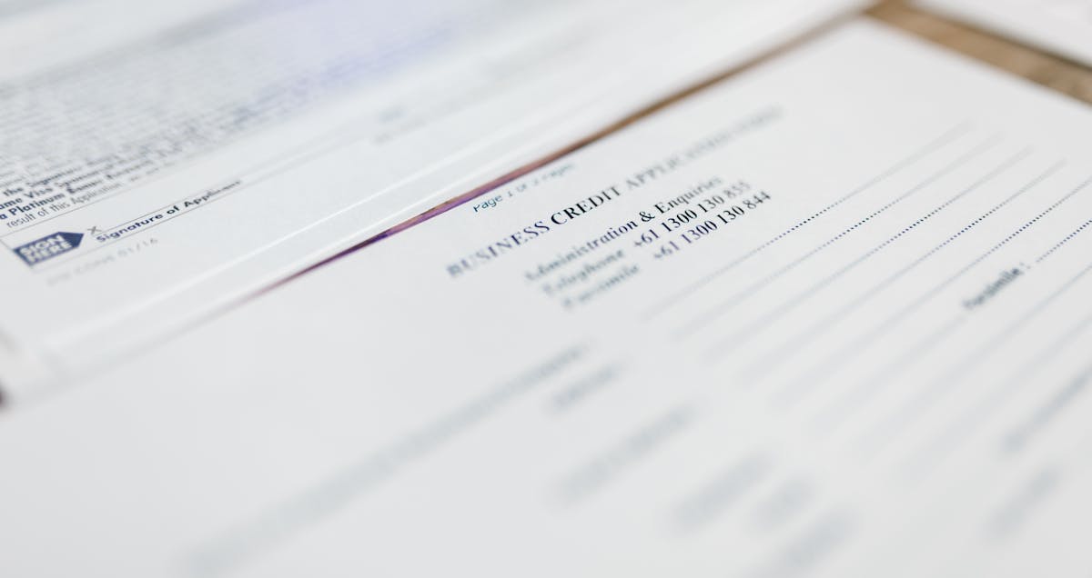 Underestimating the Importance of Credit Scores