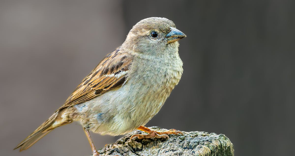 Common Reasons for Denials Post-Approval